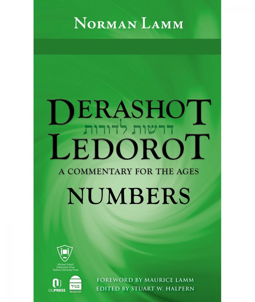 Big bigCover of Derashot LeDorot: Numbers