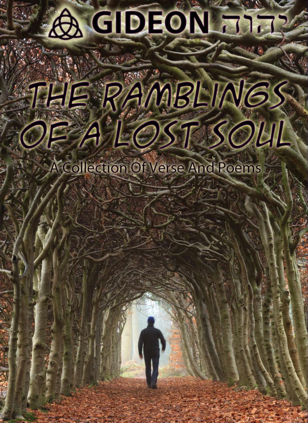 Big bigCover of The Ramblings of a Lost Soul