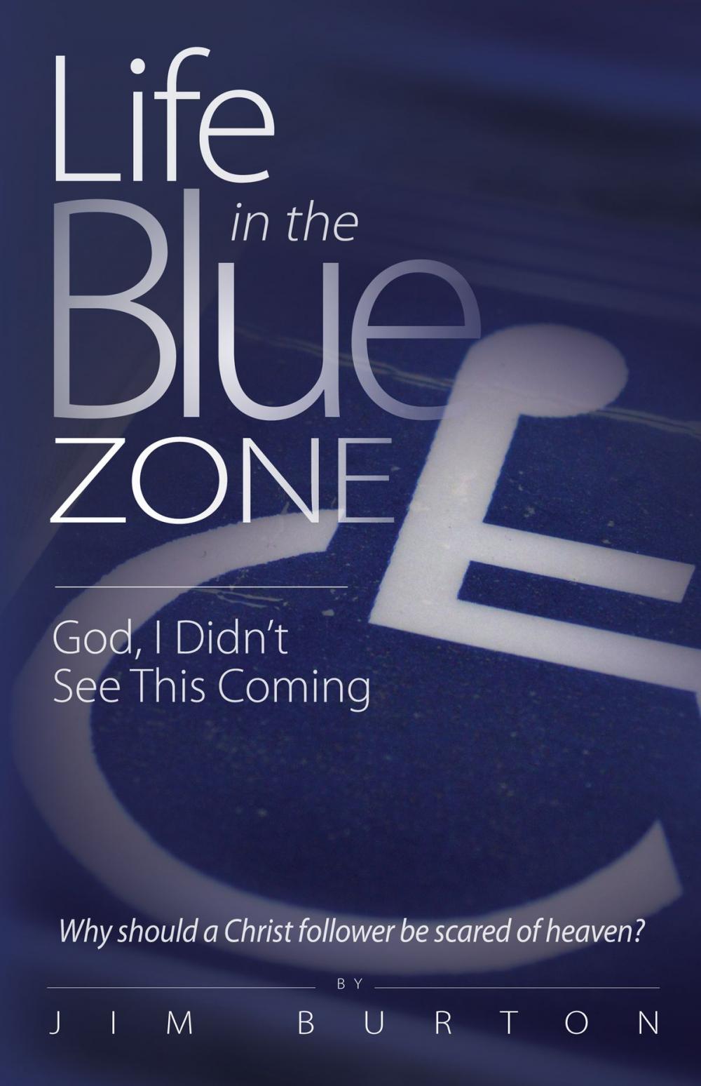 Big bigCover of Life in the Blue Zone