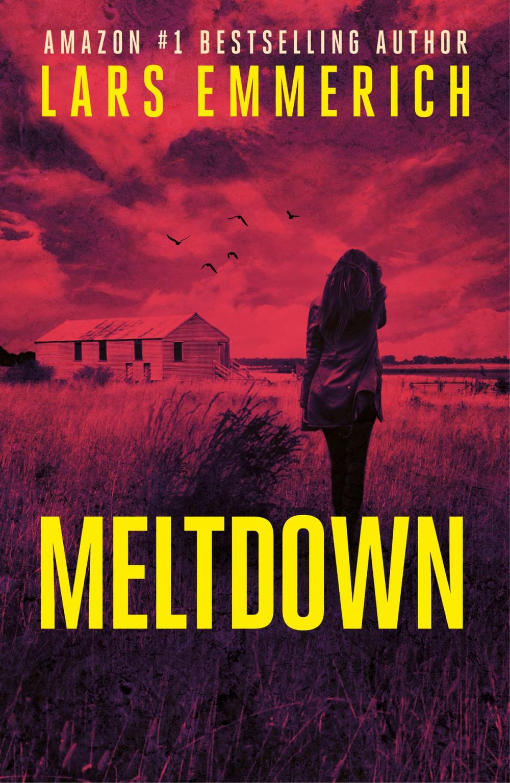 Big bigCover of MELTDOWN