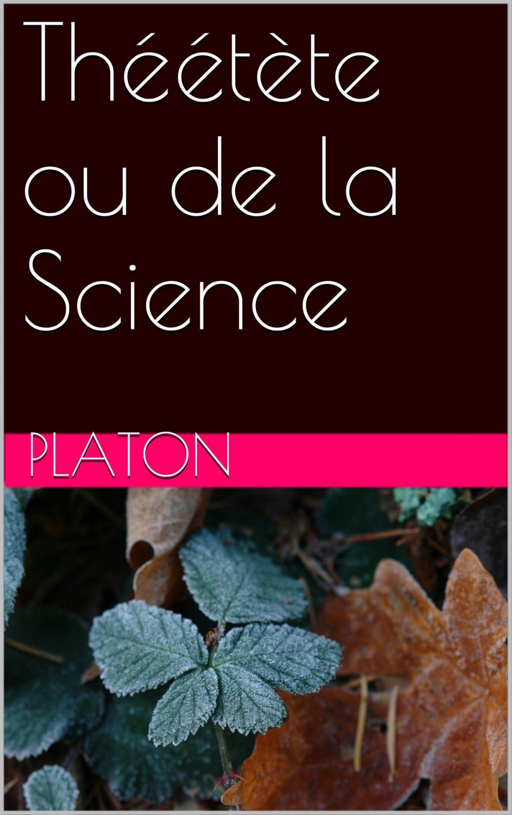 Big bigCover of Théétète ou de la Science