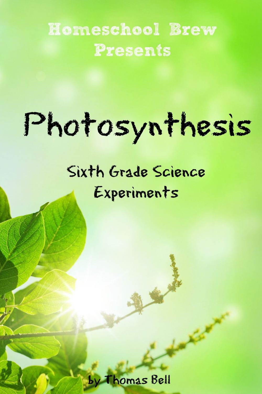 Big bigCover of Photosynthesis