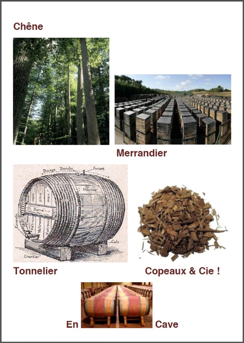 Big bigCover of CHÊNE-MERRANDIER-TONNELIER-COPEAUX & Cie.