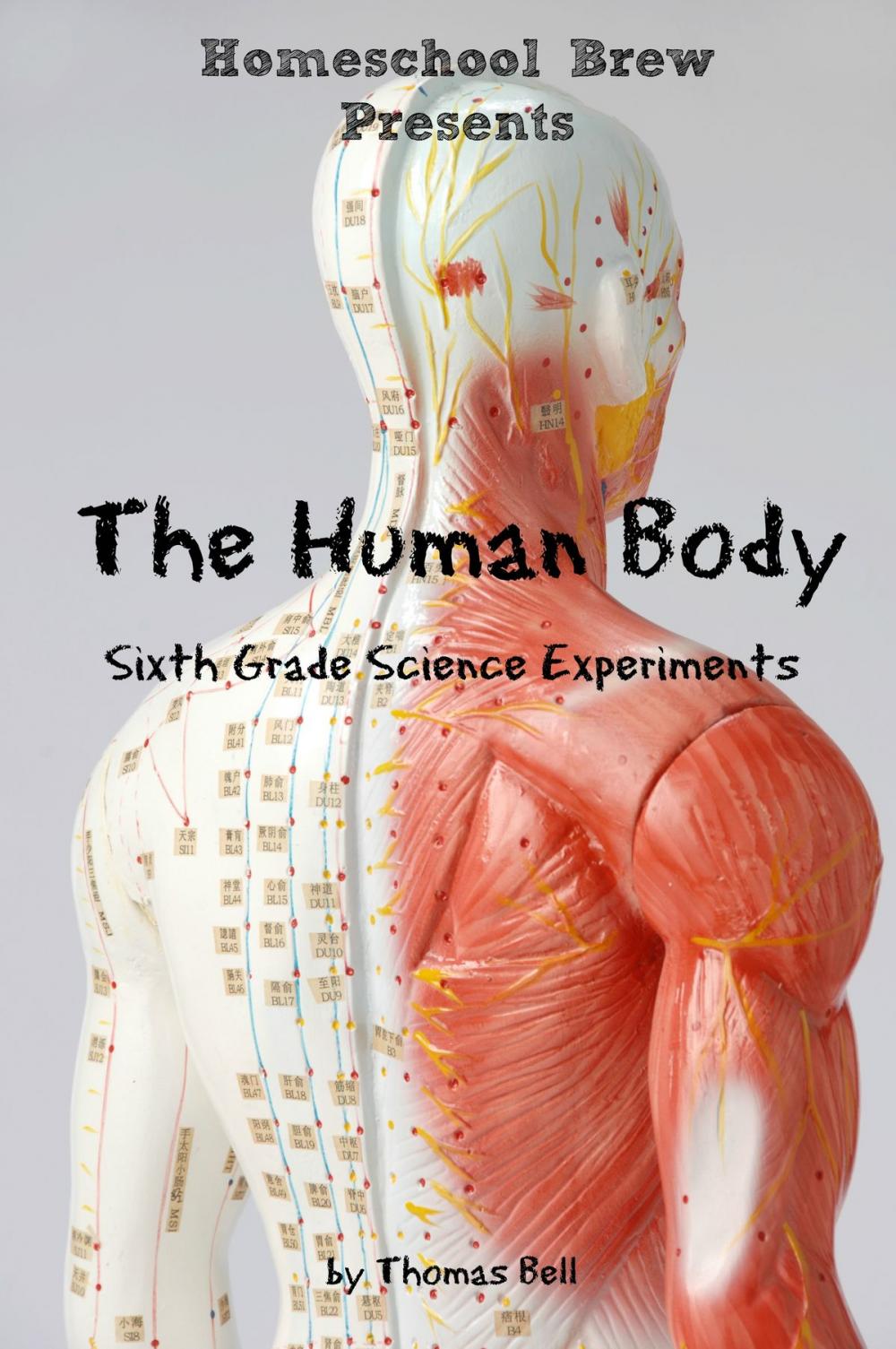 Big bigCover of The Human Body