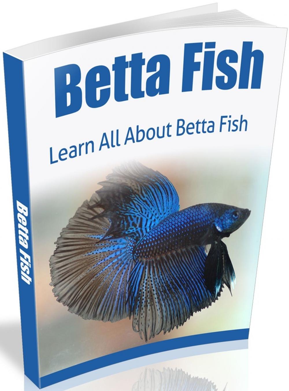 Big bigCover of Betta Fish