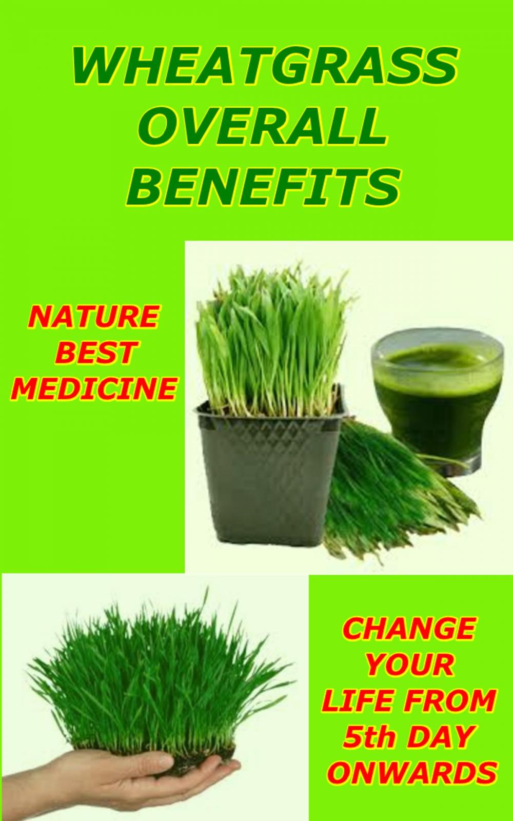 Big bigCover of Wheatgrass For Overall for Well Being