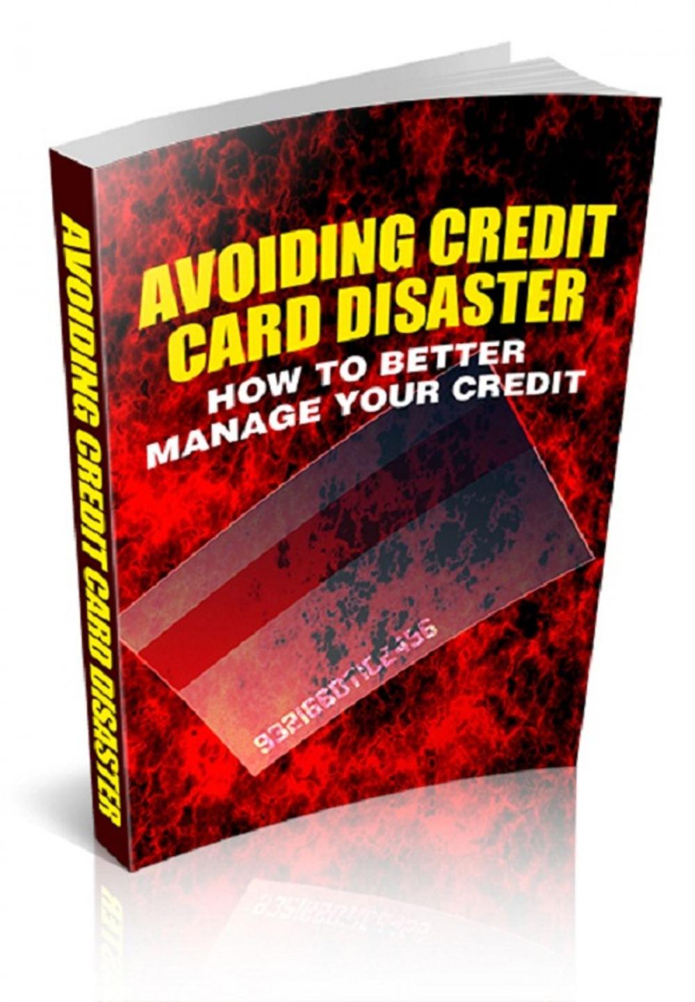 Big bigCover of Avoiding Credit Card Disaster