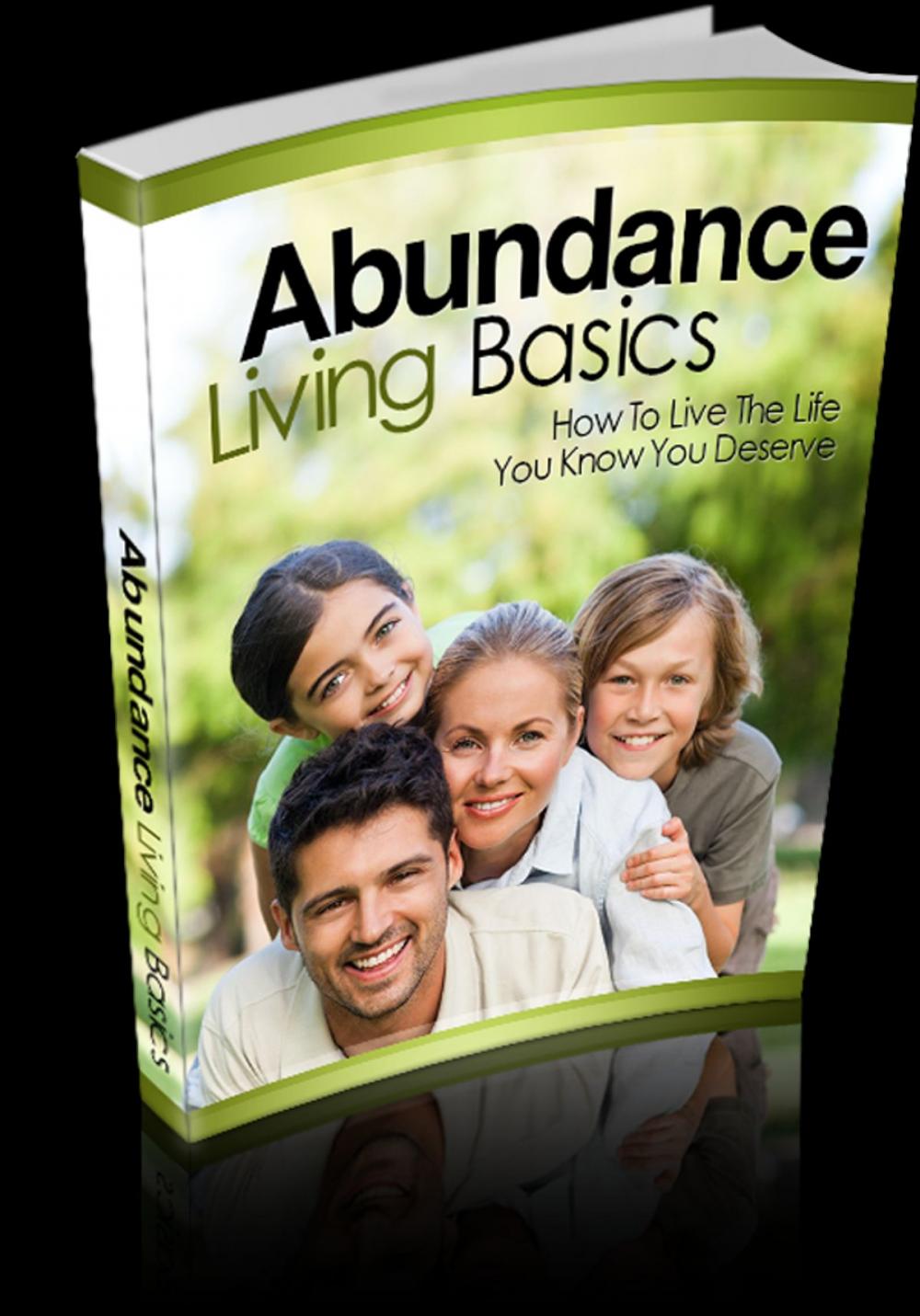 Big bigCover of Abundance Living Basics