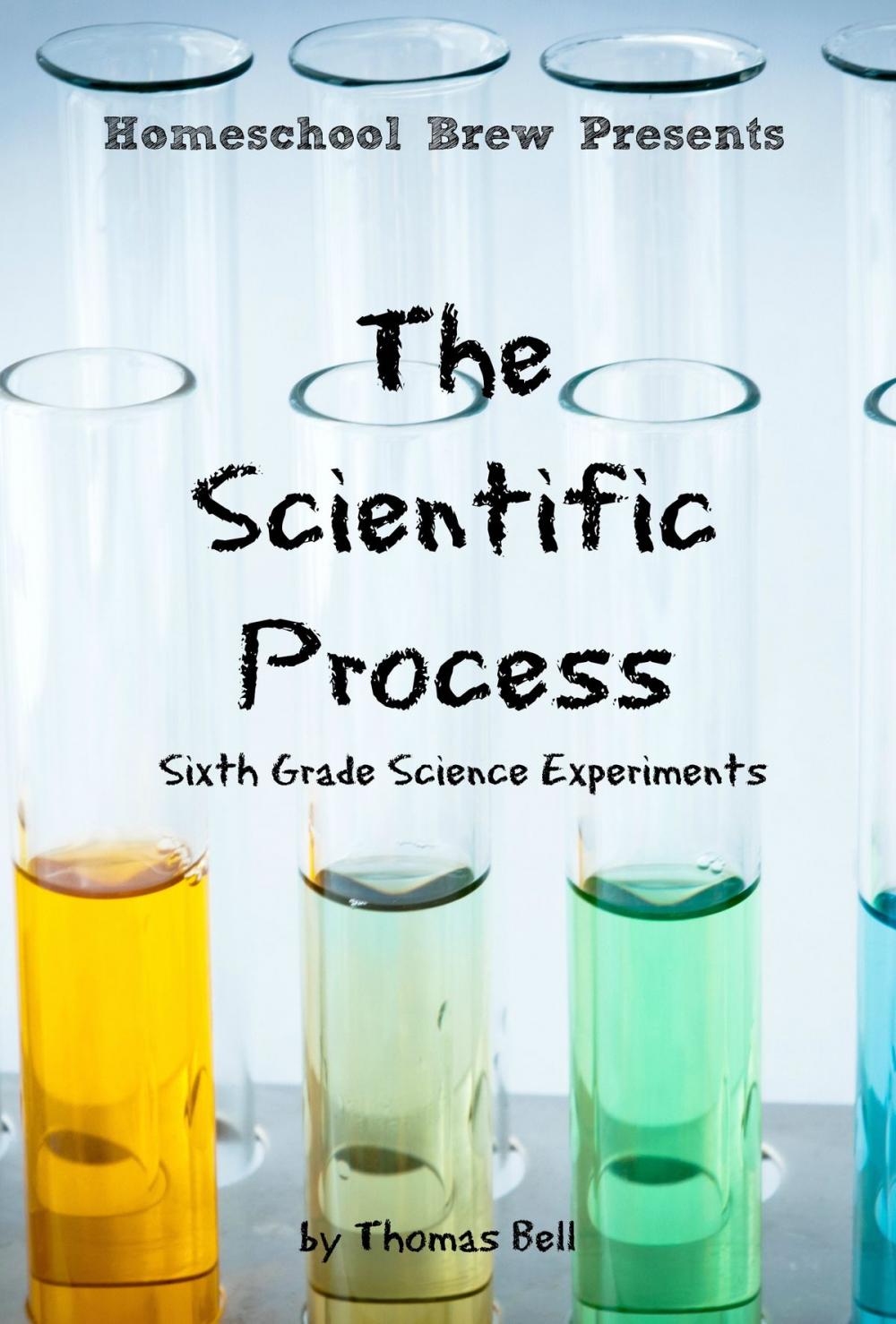 Big bigCover of The Scientific Process