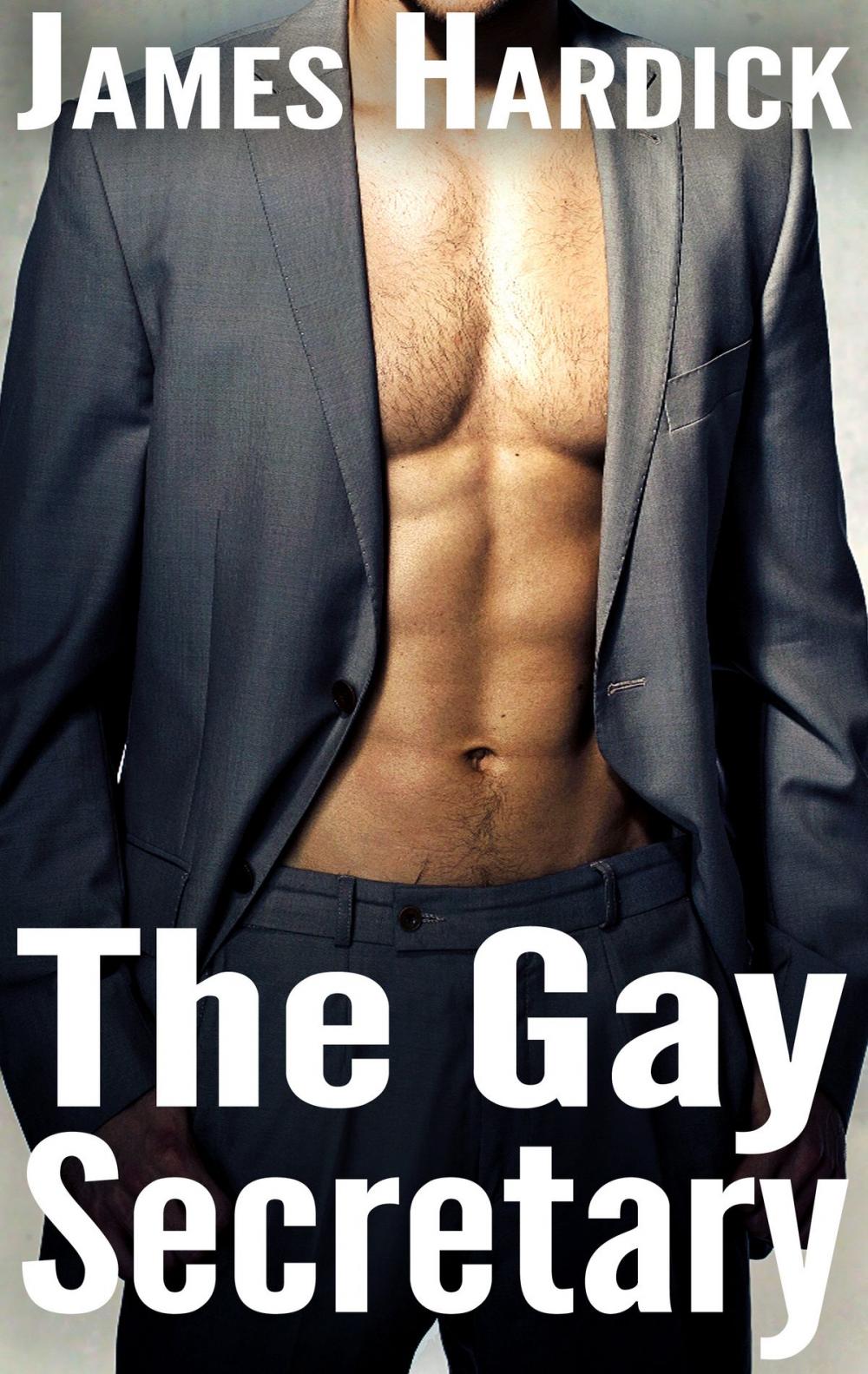 Big bigCover of The Gay Secretary