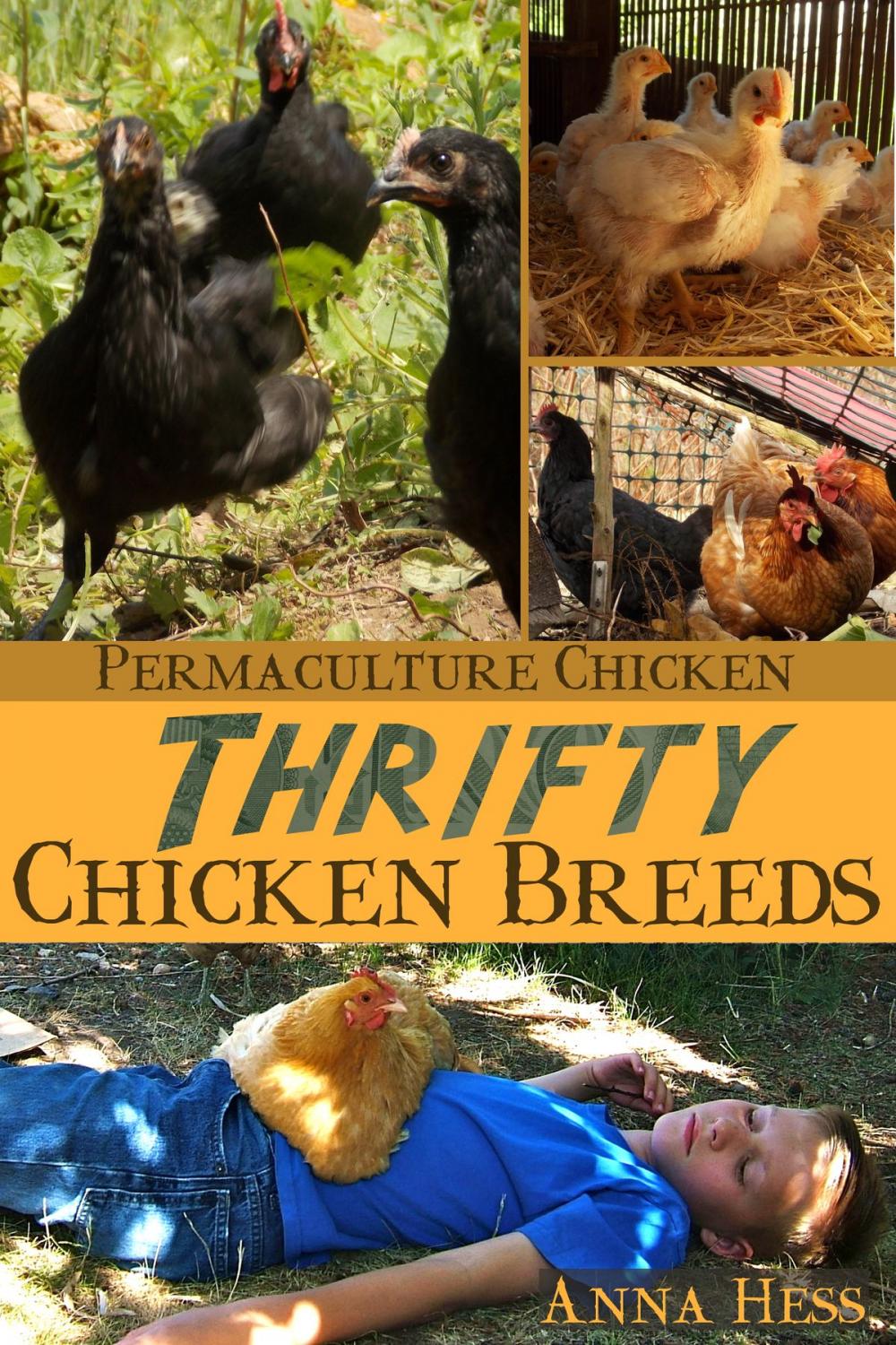 Big bigCover of Thrifty Chicken Breeds