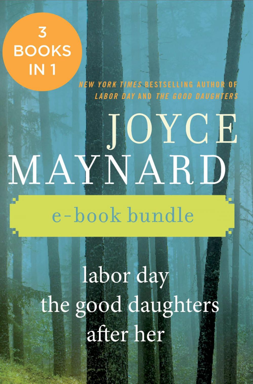 Big bigCover of The Joyce Maynard Collection