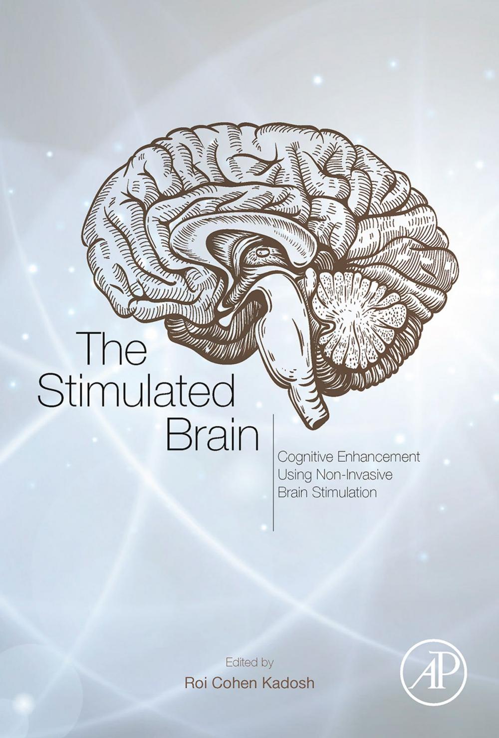 Big bigCover of The Stimulated Brain