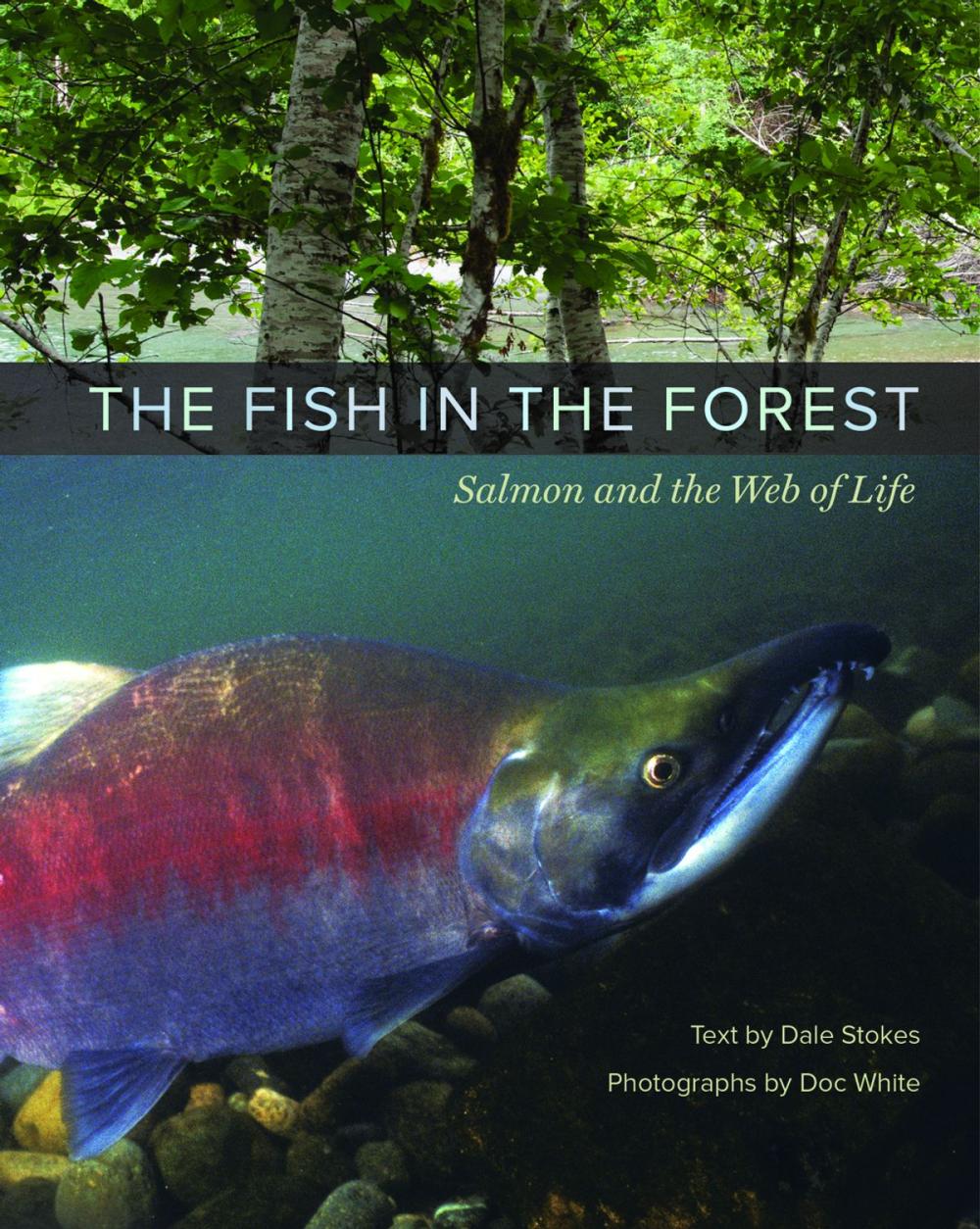 Big bigCover of The Fish in the Forest