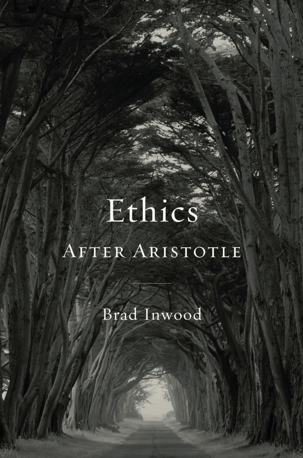 Big bigCover of Ethics After Aristotle