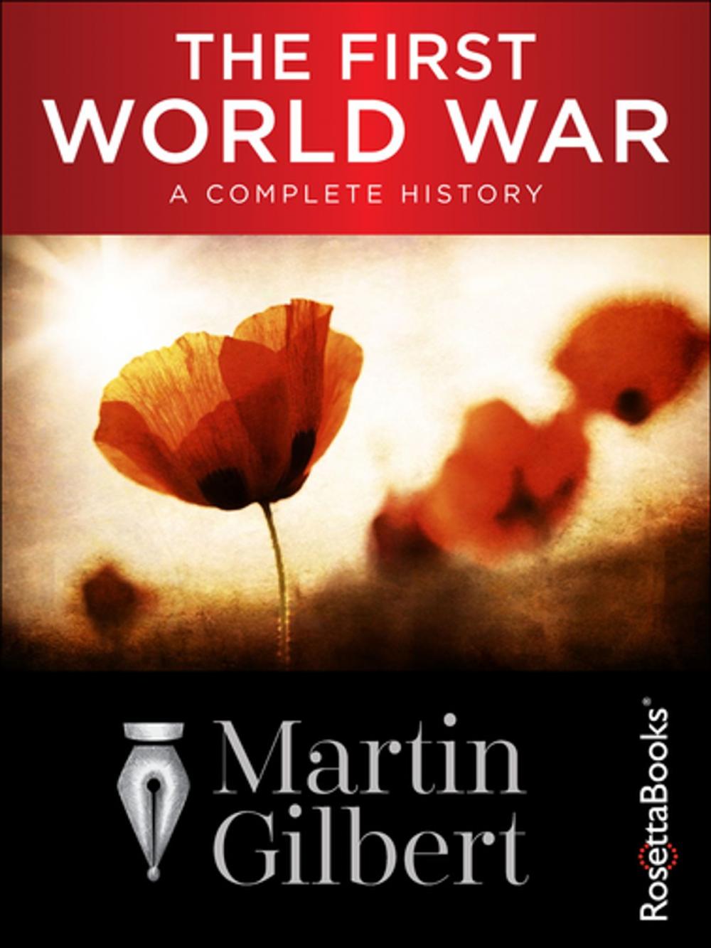 Big bigCover of The First World War