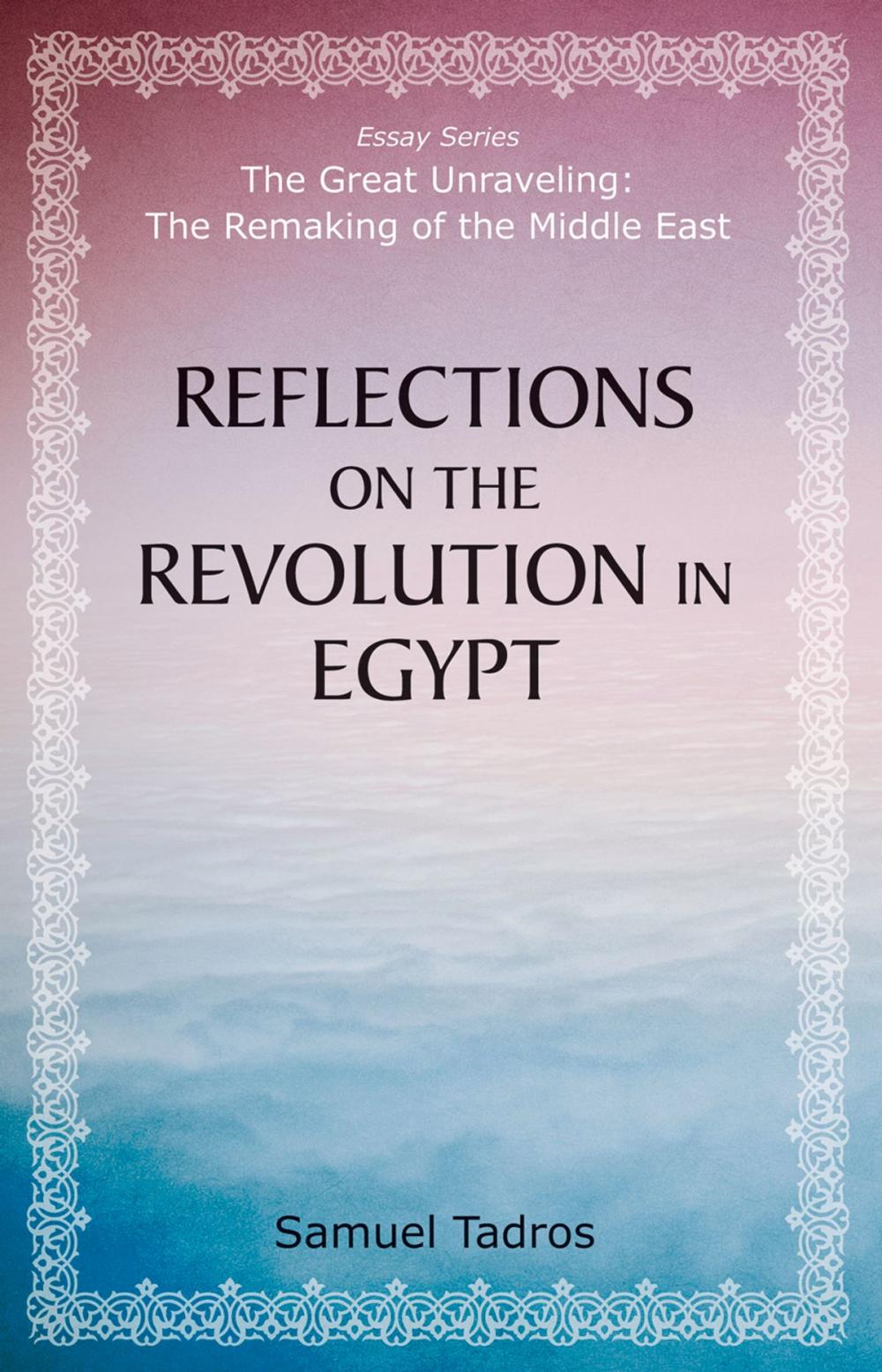 Big bigCover of Reflections on the Revolution in Egypt