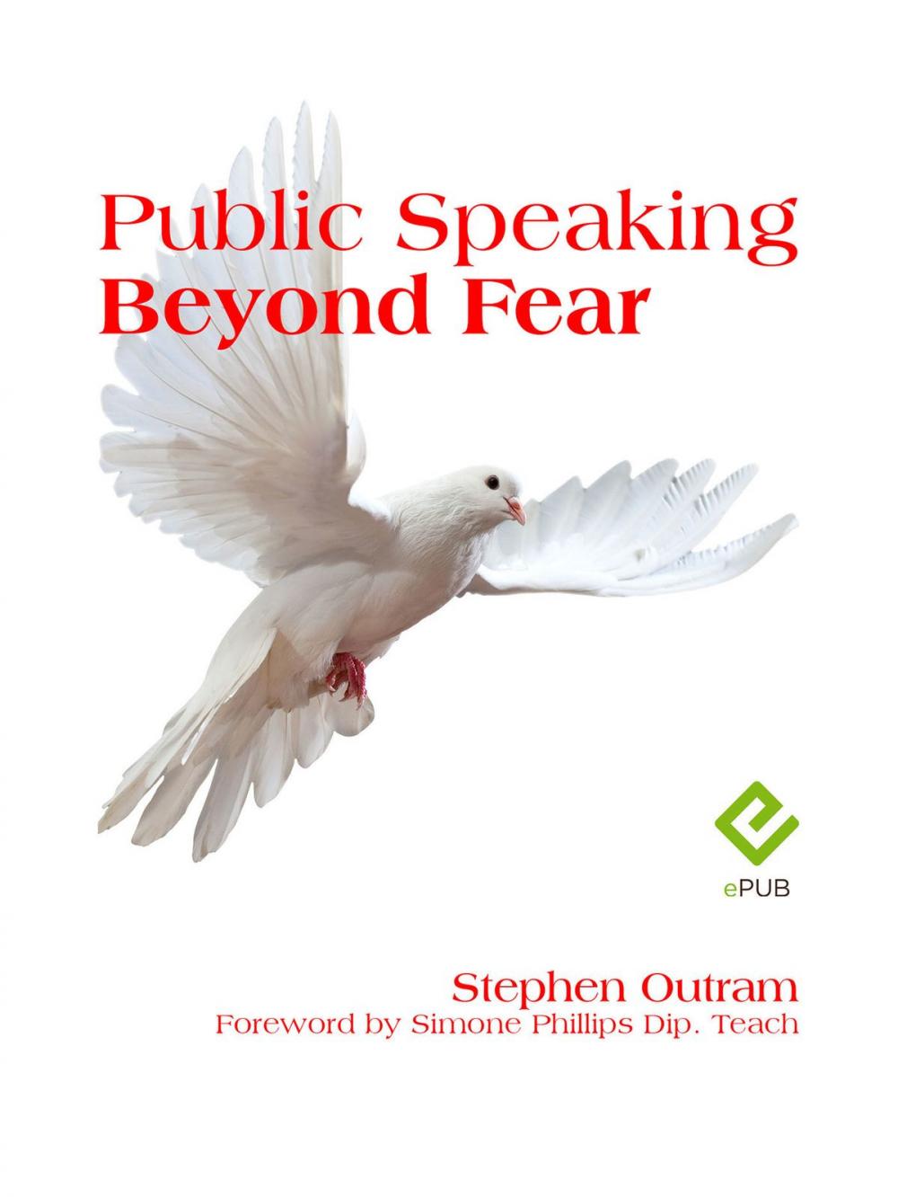 Big bigCover of Public Speaking: Beyond Fear