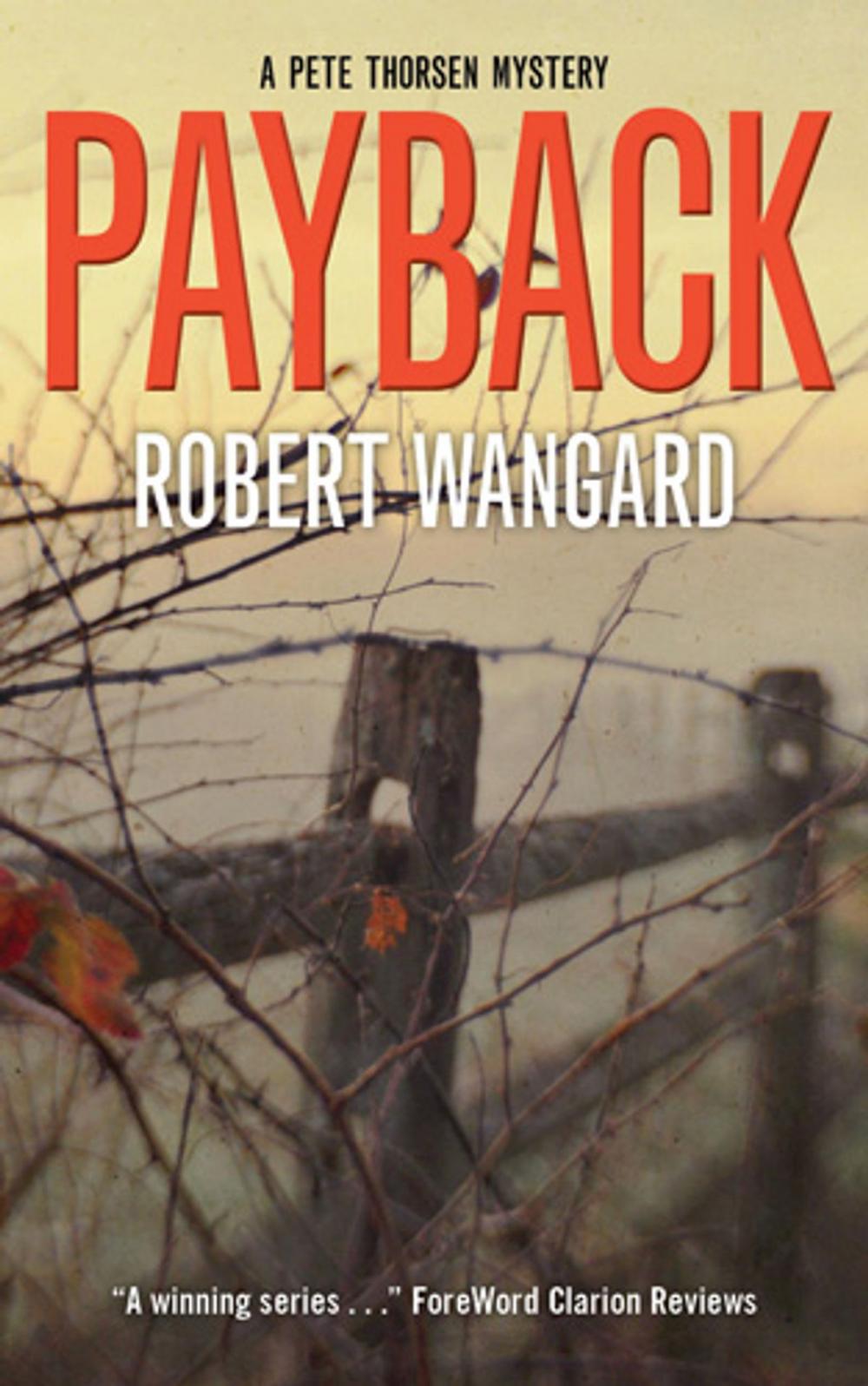 Big bigCover of Payback