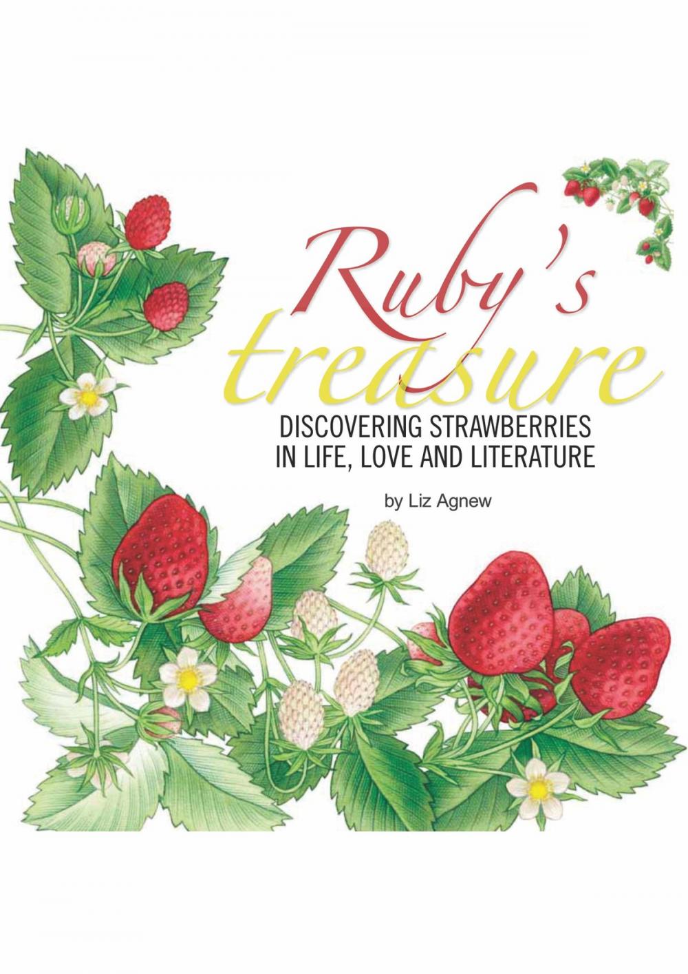 Big bigCover of Ruby’s Treasure