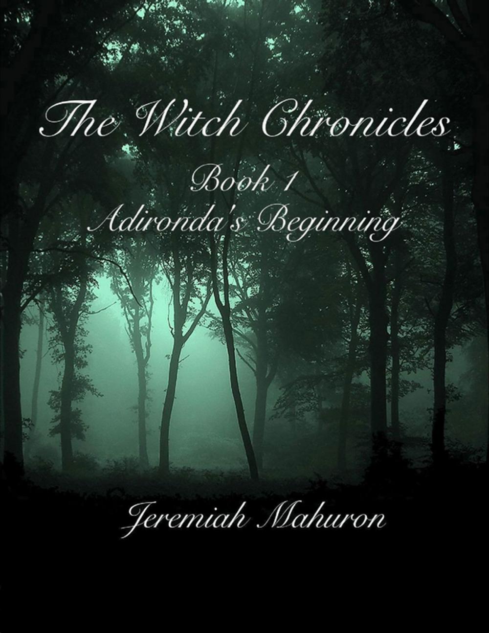 Big bigCover of The Witch Chronicles Book 1: Adironda’s Beginning