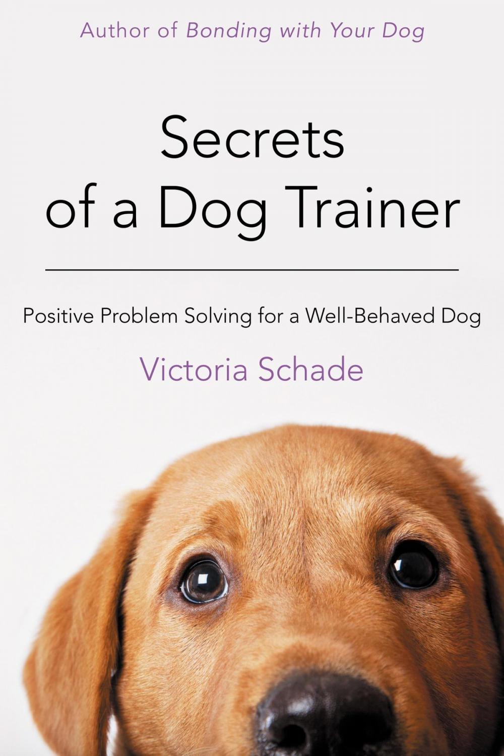 Big bigCover of Secrets of a Dog Trainer