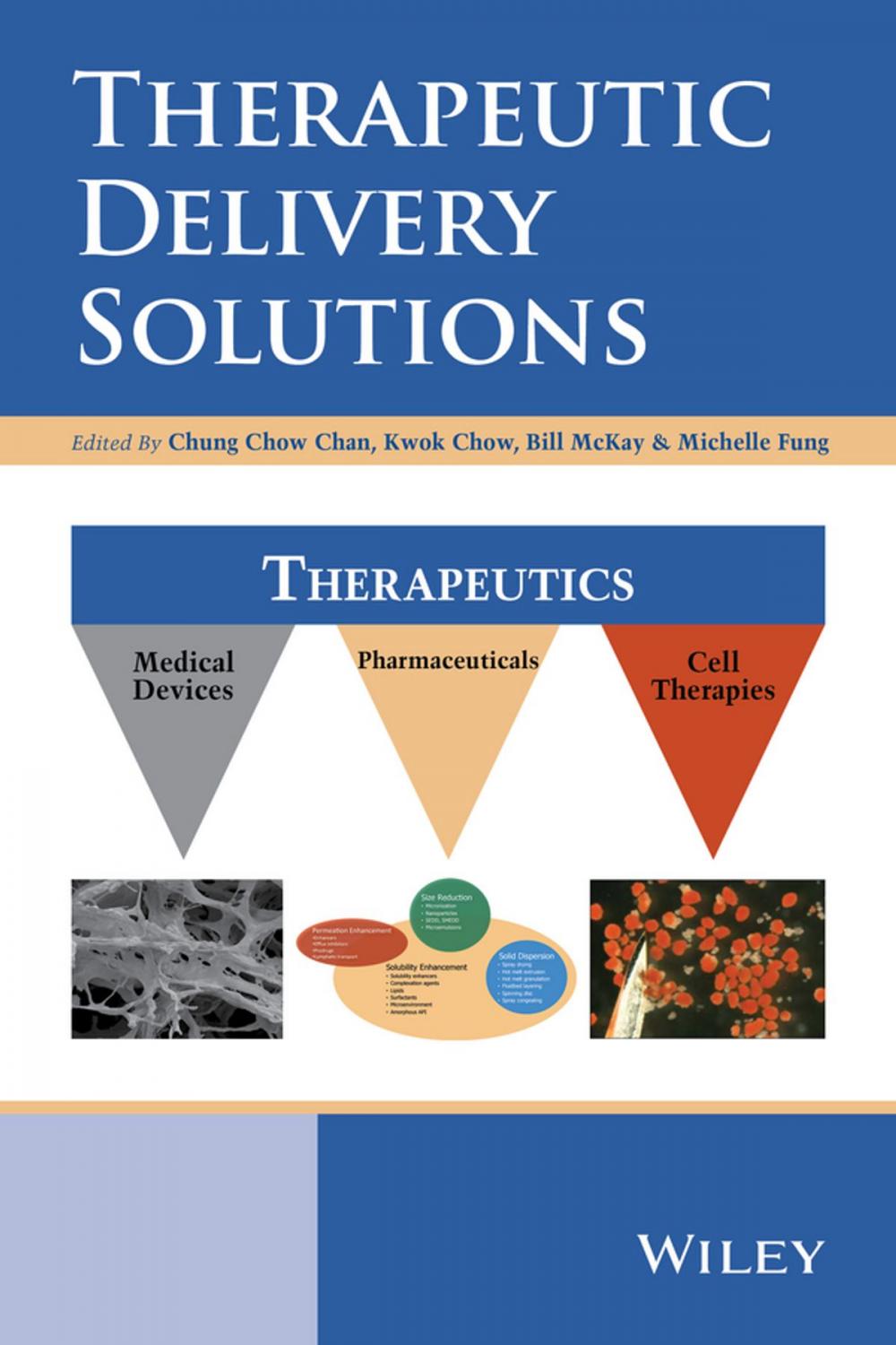 Big bigCover of Therapeutic Delivery Solutions