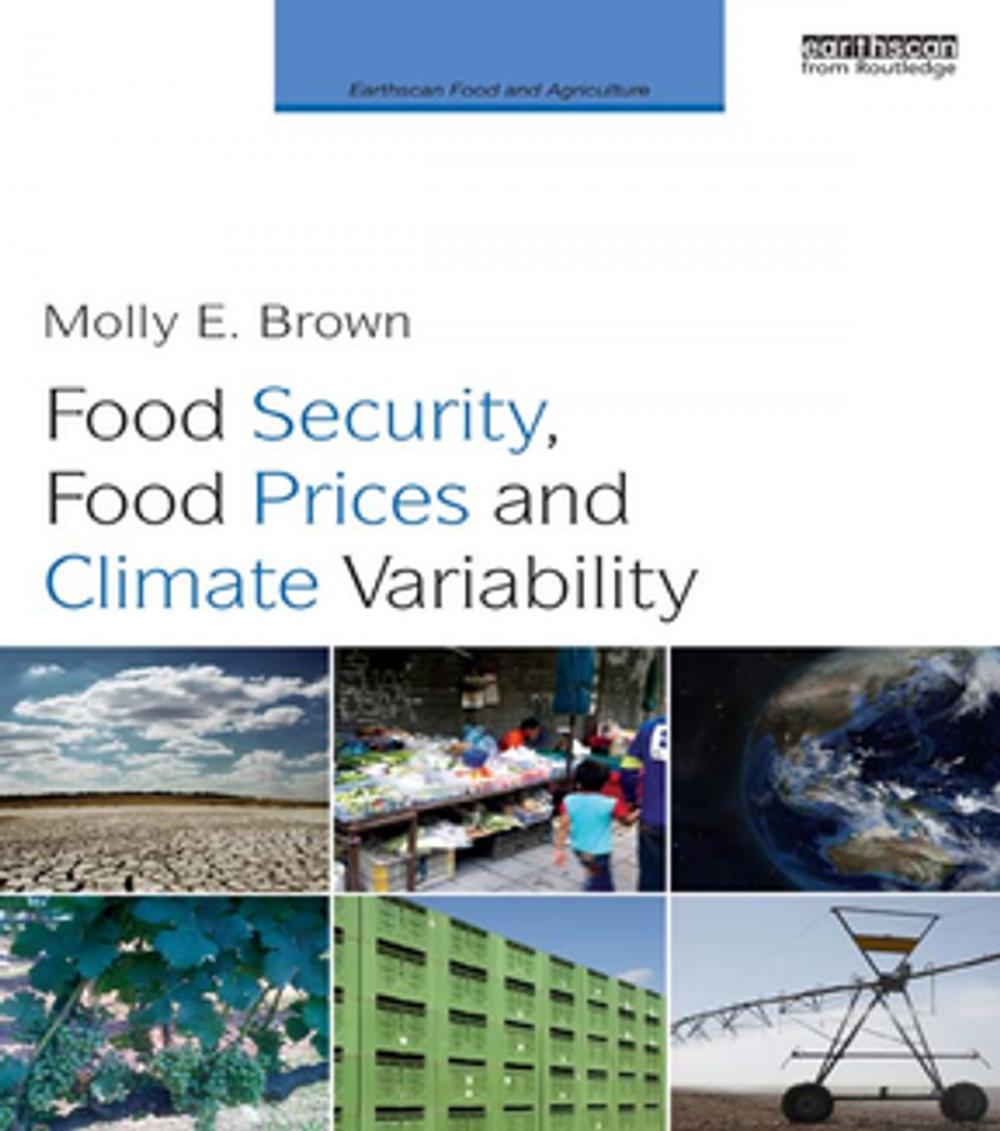 Big bigCover of Food Security, Food Prices and Climate Variability