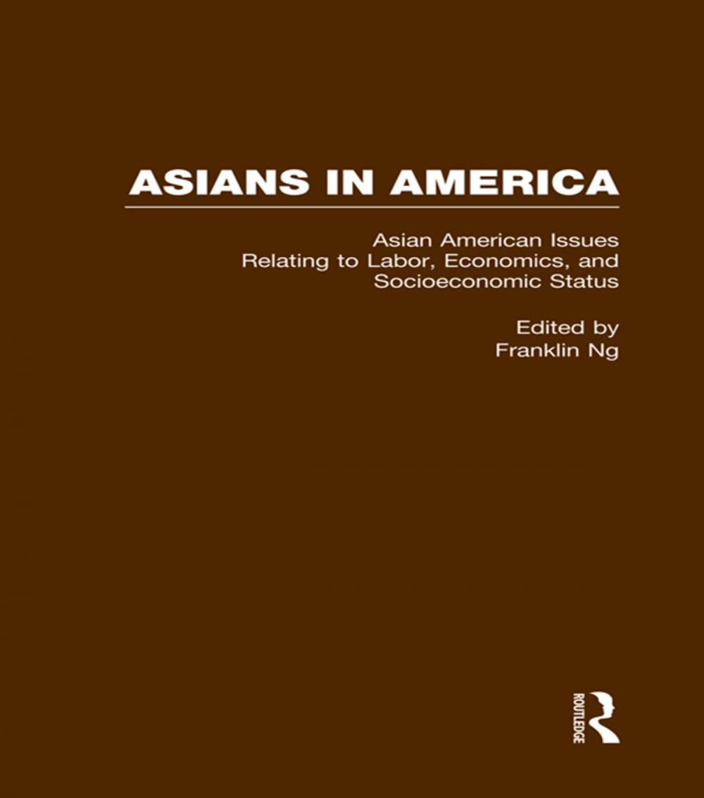 Big bigCover of Asian American Issues Relating to Labor, Economics, and Socioeconomic Status