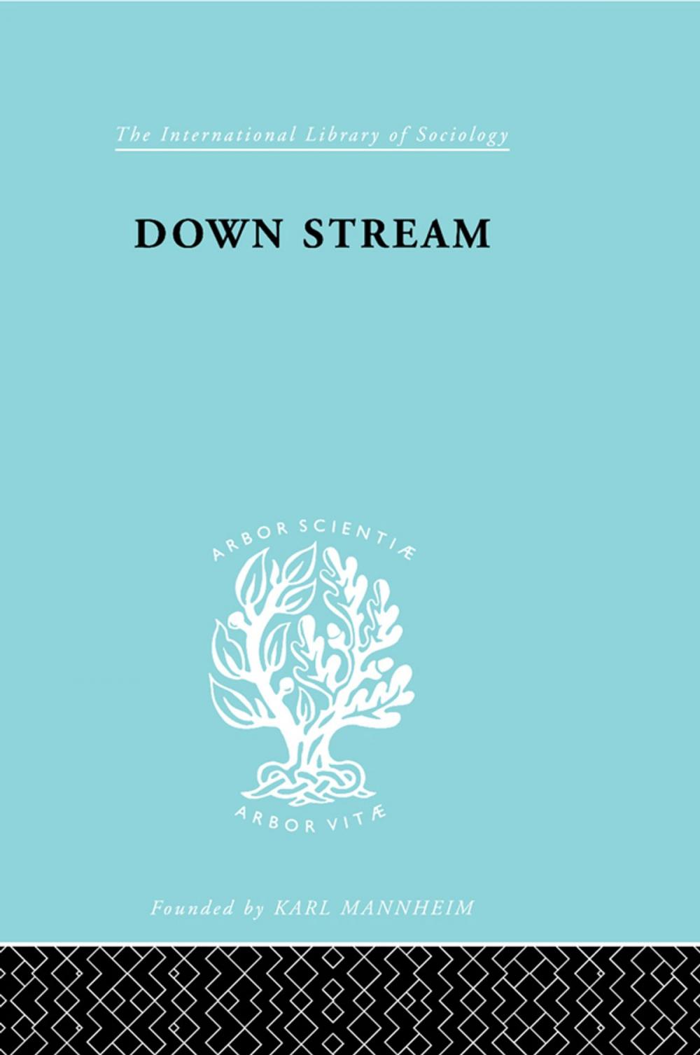 Big bigCover of Down Stream Ils 216