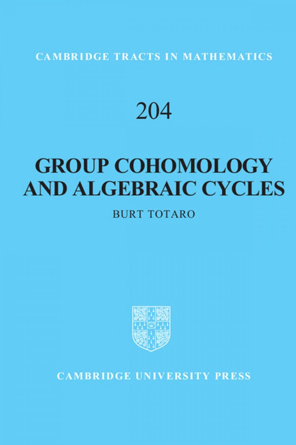 Big bigCover of Group Cohomology and Algebraic Cycles