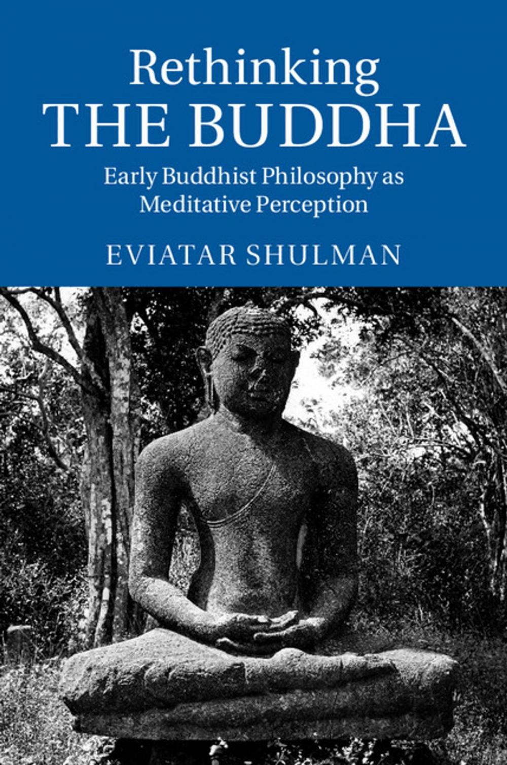 Big bigCover of Rethinking the Buddha