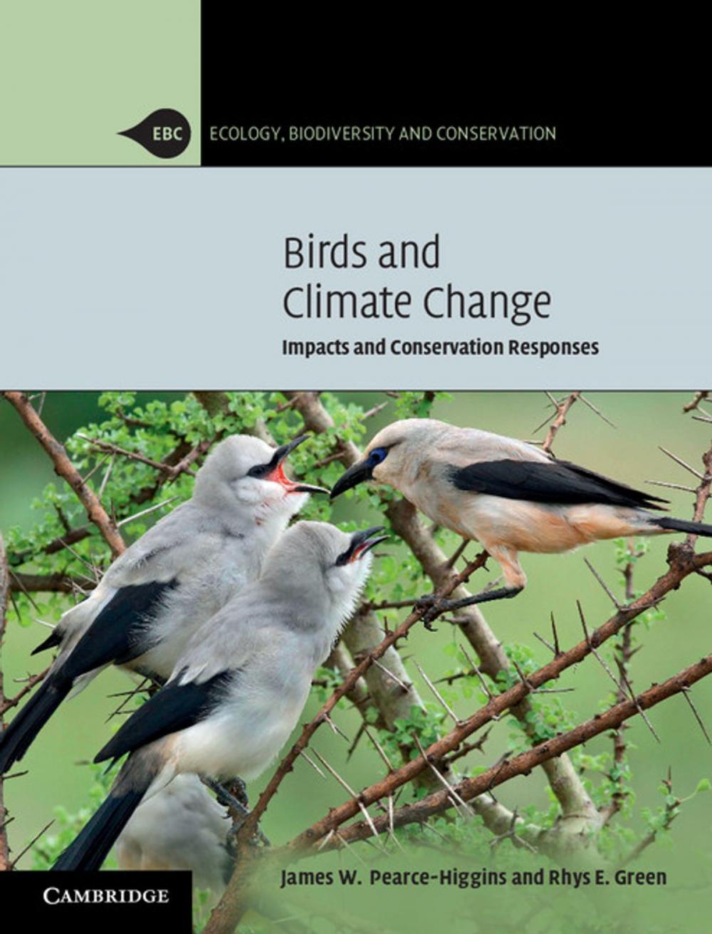 Big bigCover of Birds and Climate Change