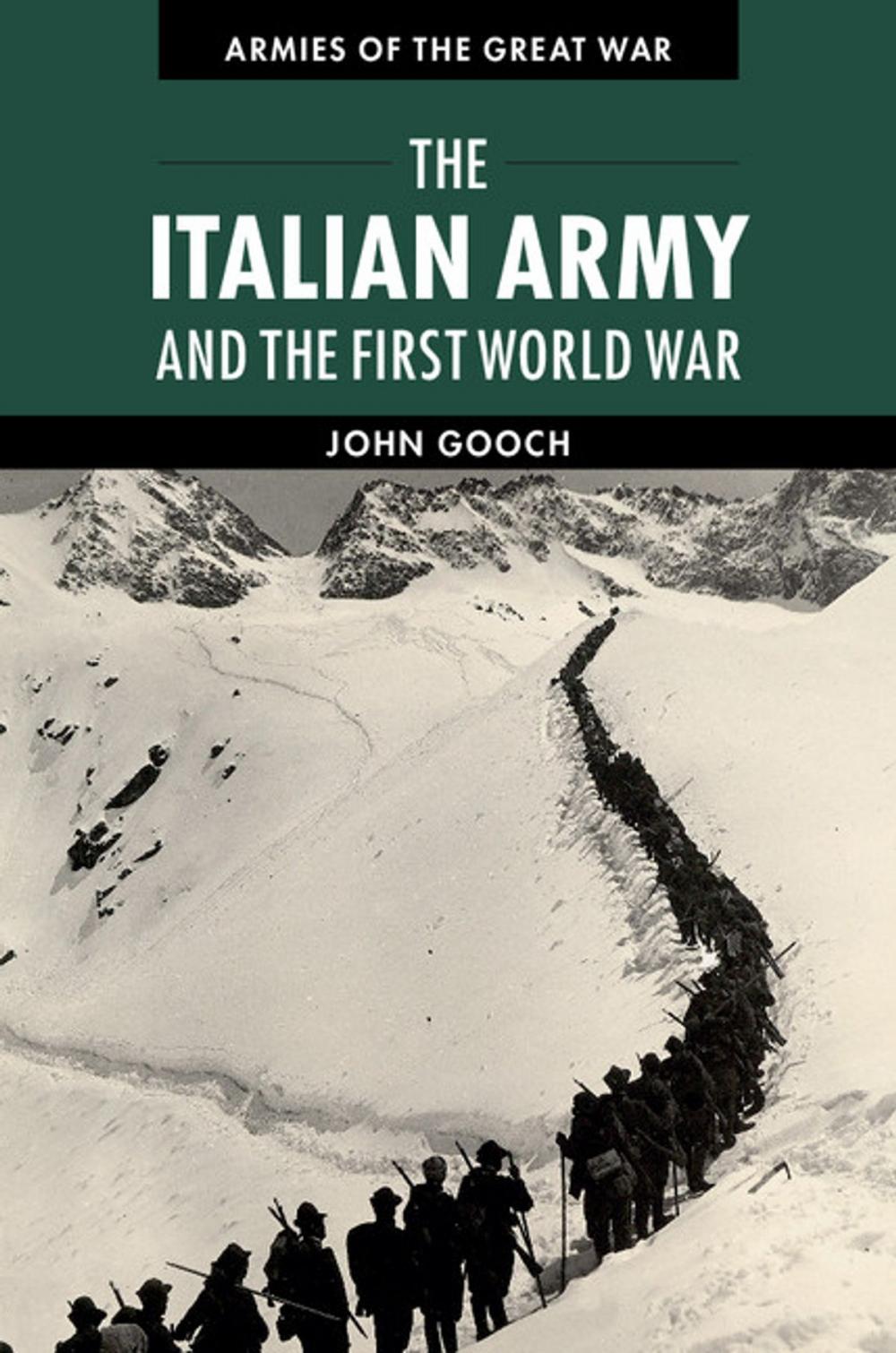 Big bigCover of The Italian Army and the First World War