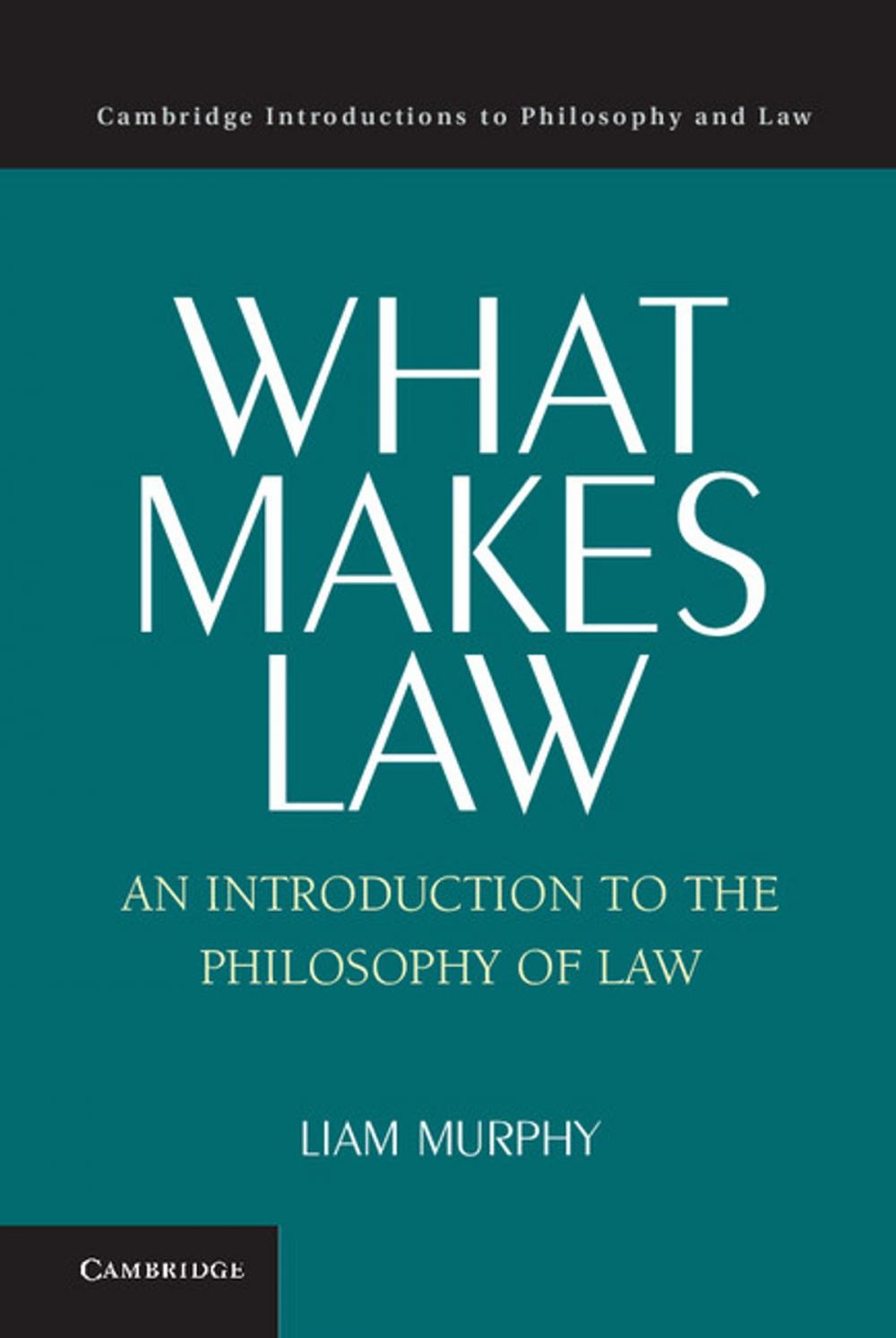 Big bigCover of What Makes Law