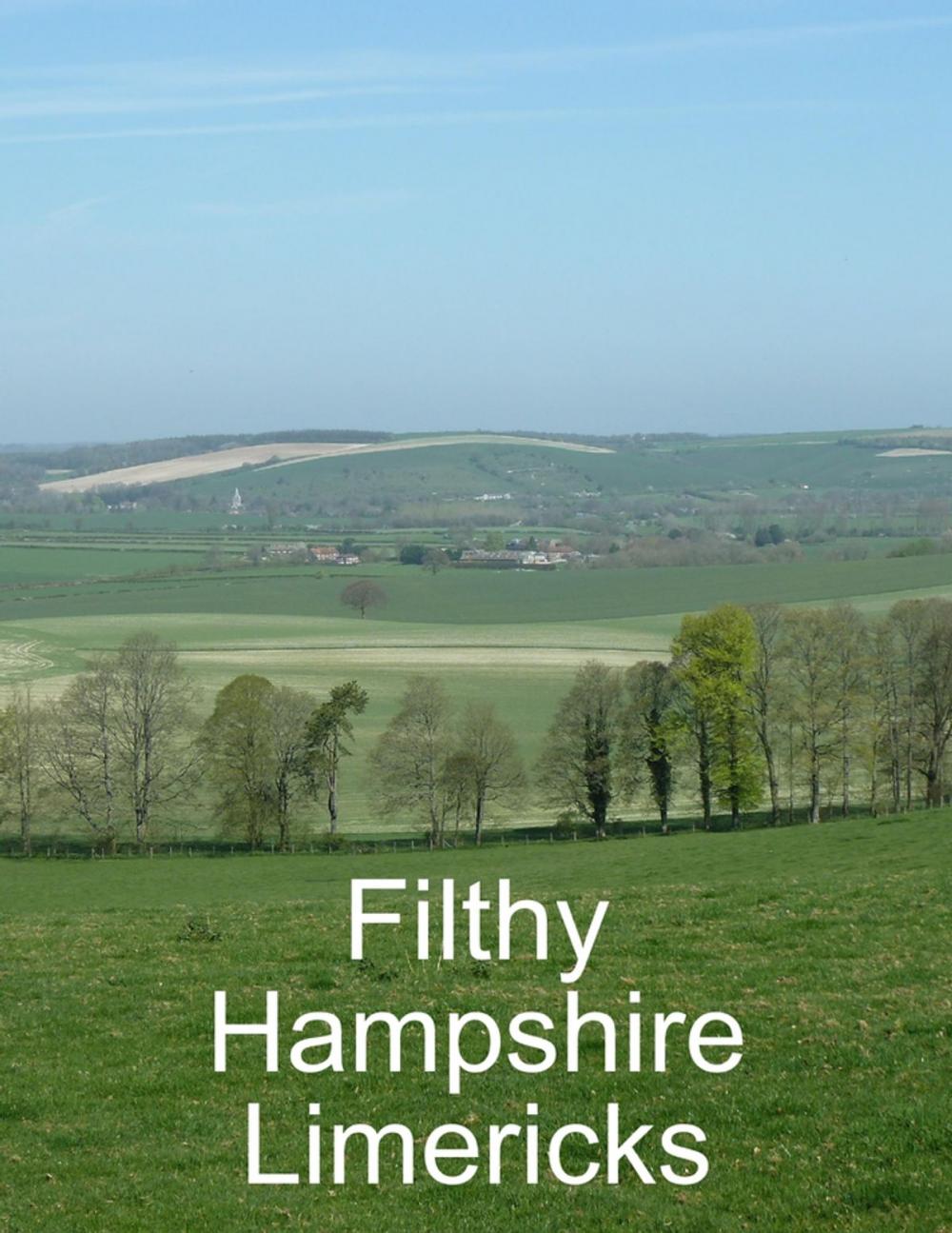 Big bigCover of Filthy Hampshire Limericks