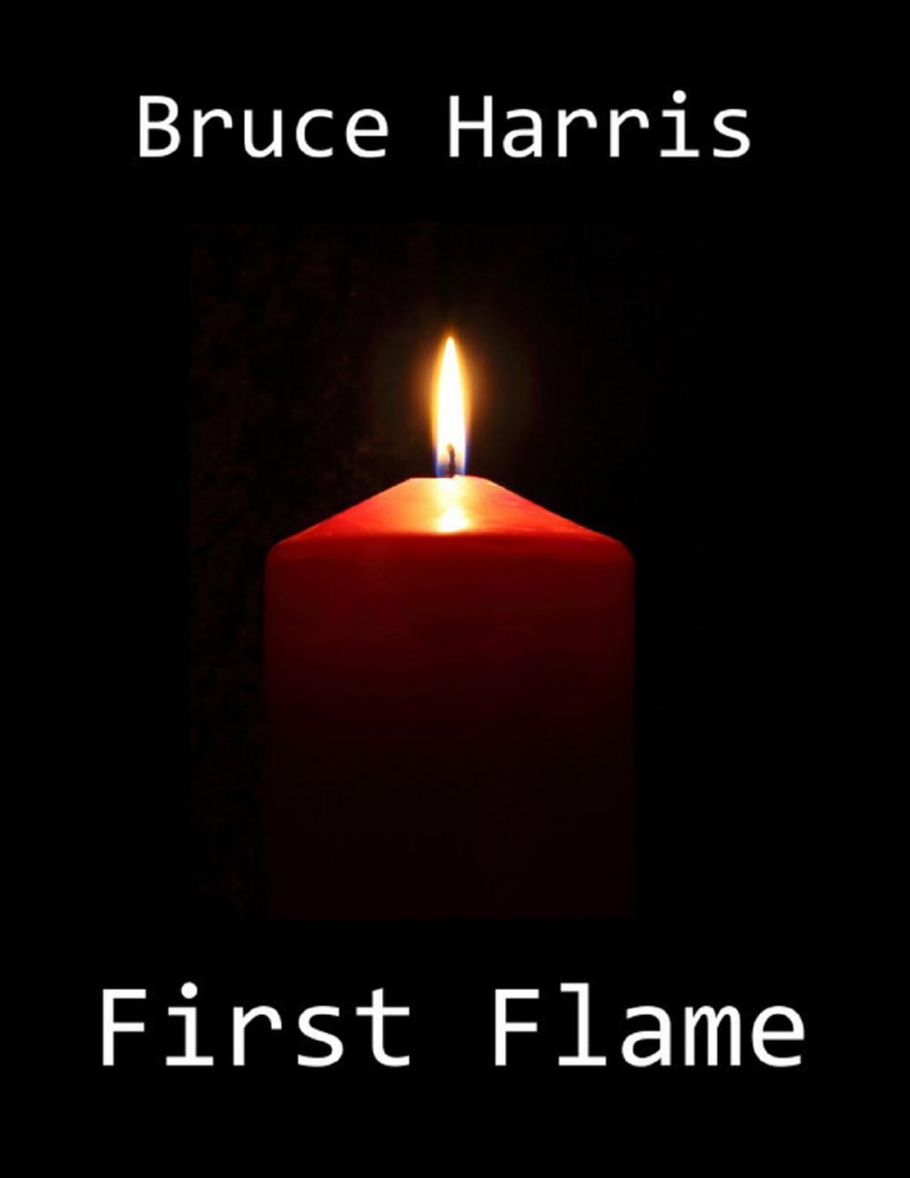 Big bigCover of First Flame