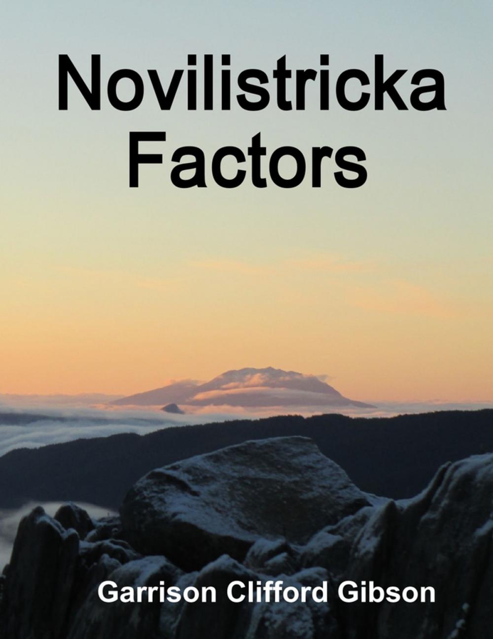Big bigCover of Novilistricka Factors