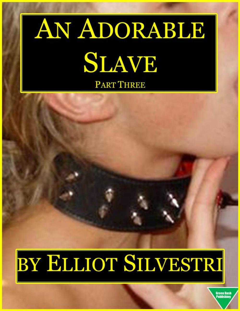 Big bigCover of An Adorable Slave (Part Three)