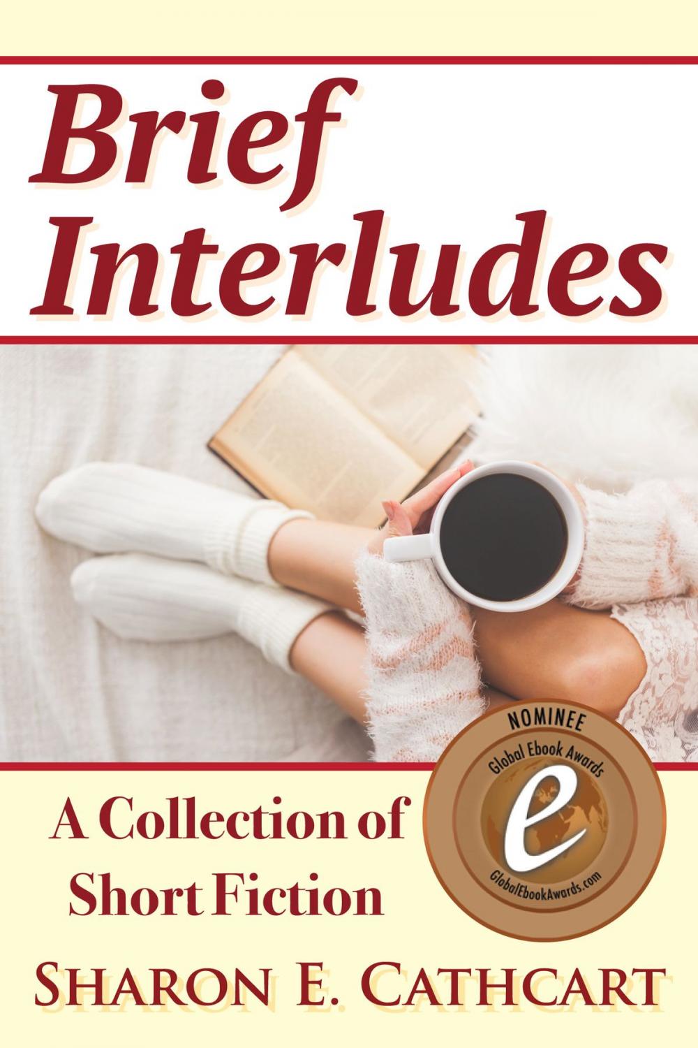 Big bigCover of Brief Interludes: A Collection of Short Fiction