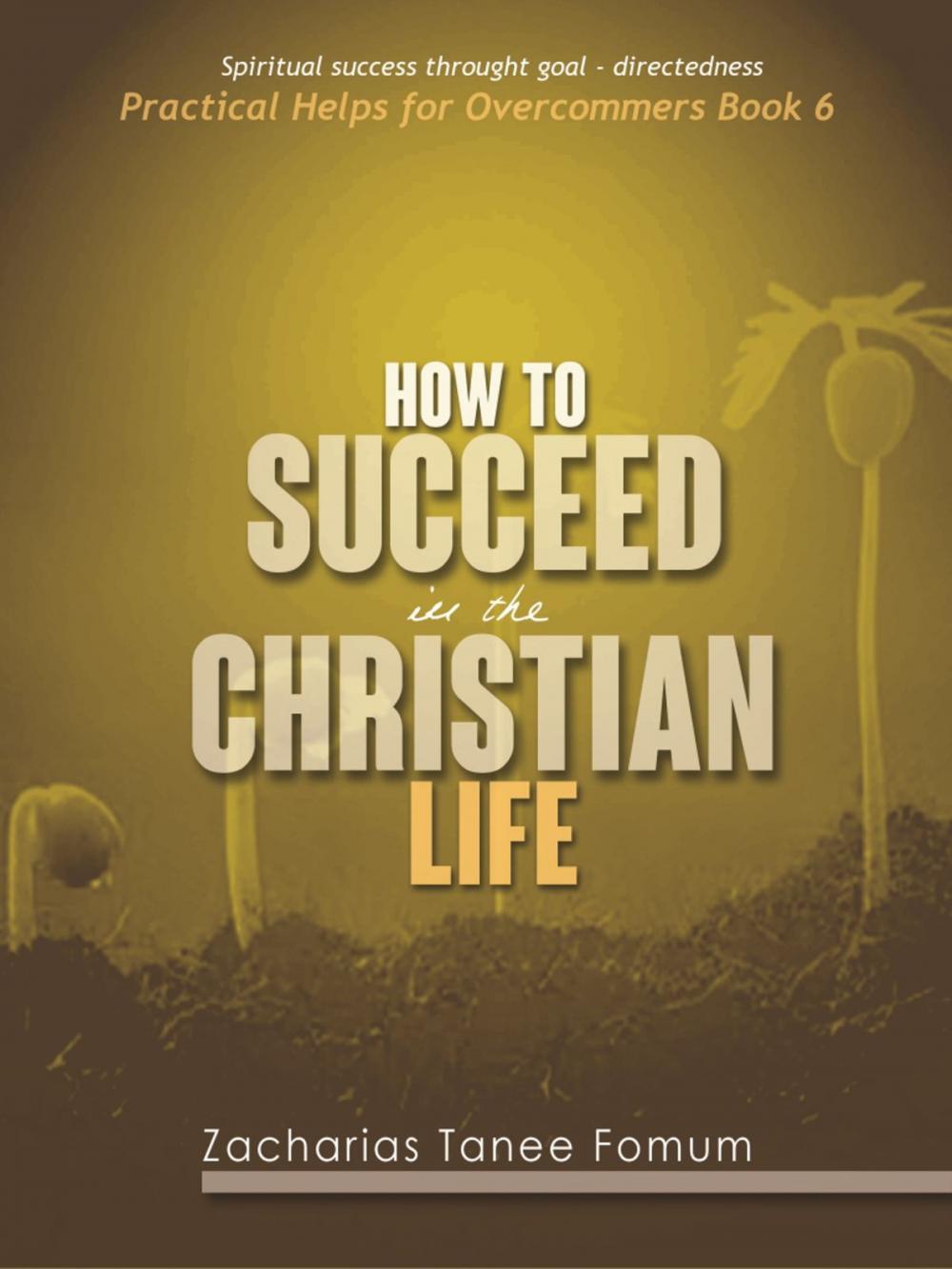 Big bigCover of How To Succeed In The Christian Life