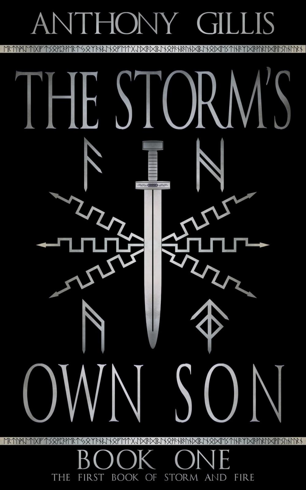 Big bigCover of The Storm's Own Son: Book One