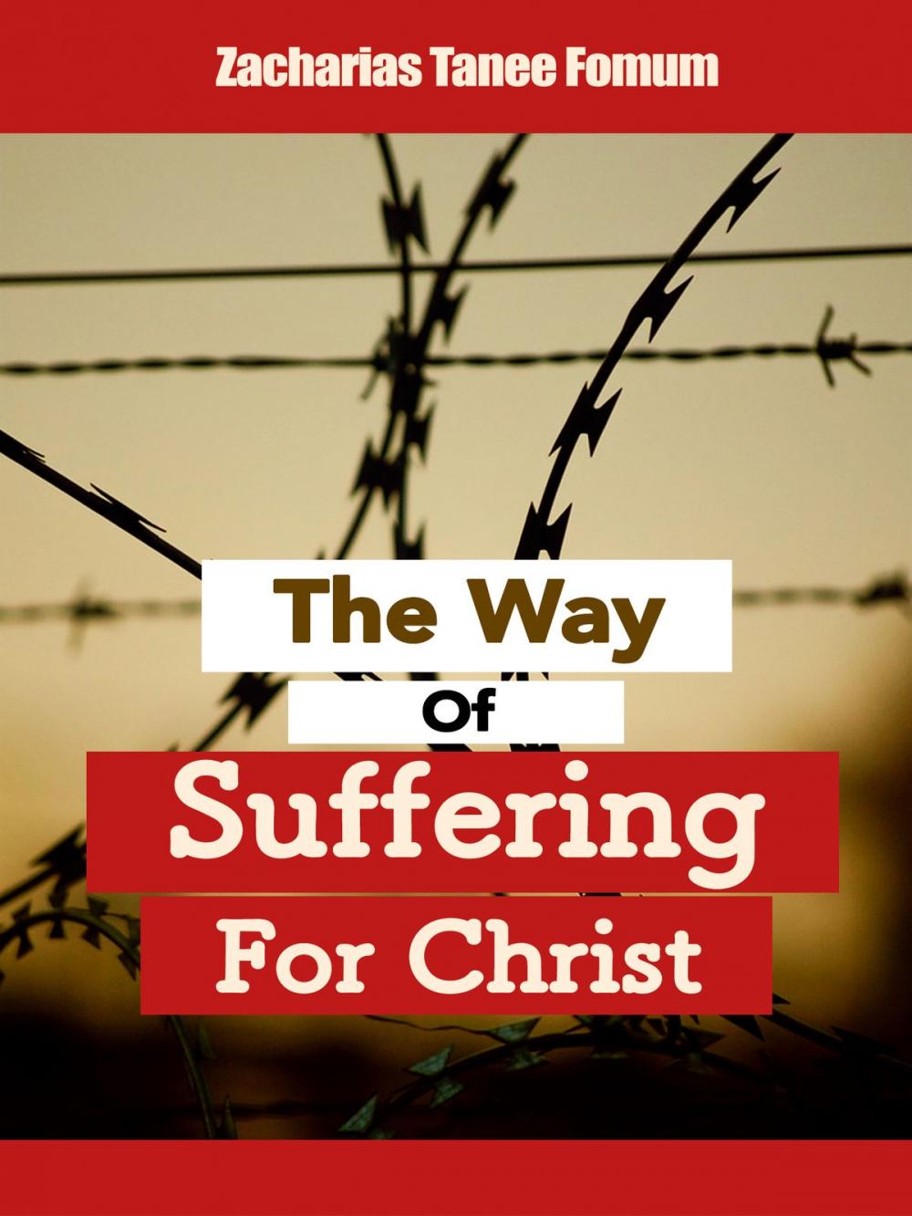 Big bigCover of The Way of Suffering For Christ