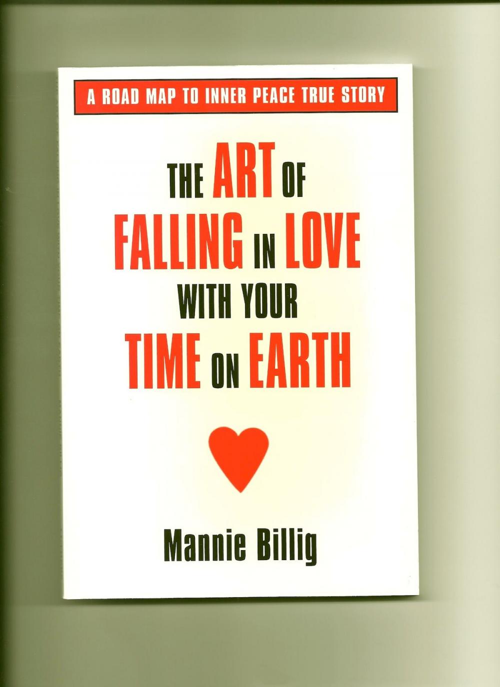 Big bigCover of Art of Falling in Love with Your Time on Earth