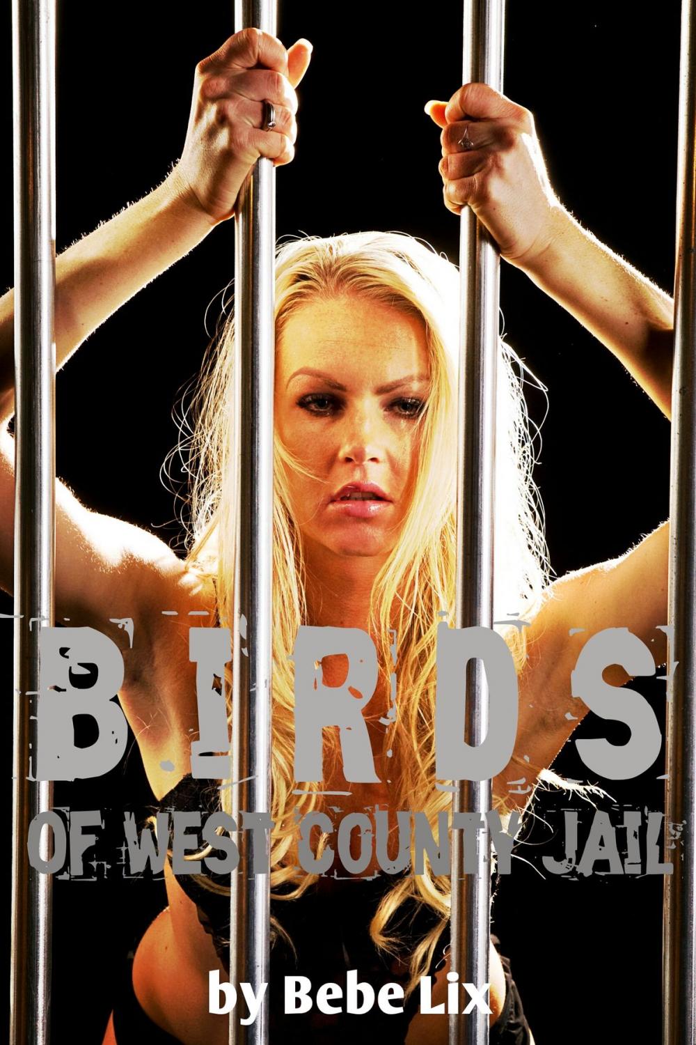 Big bigCover of Birds Of West County Jail (Interracial Group Lesbian Erotica)