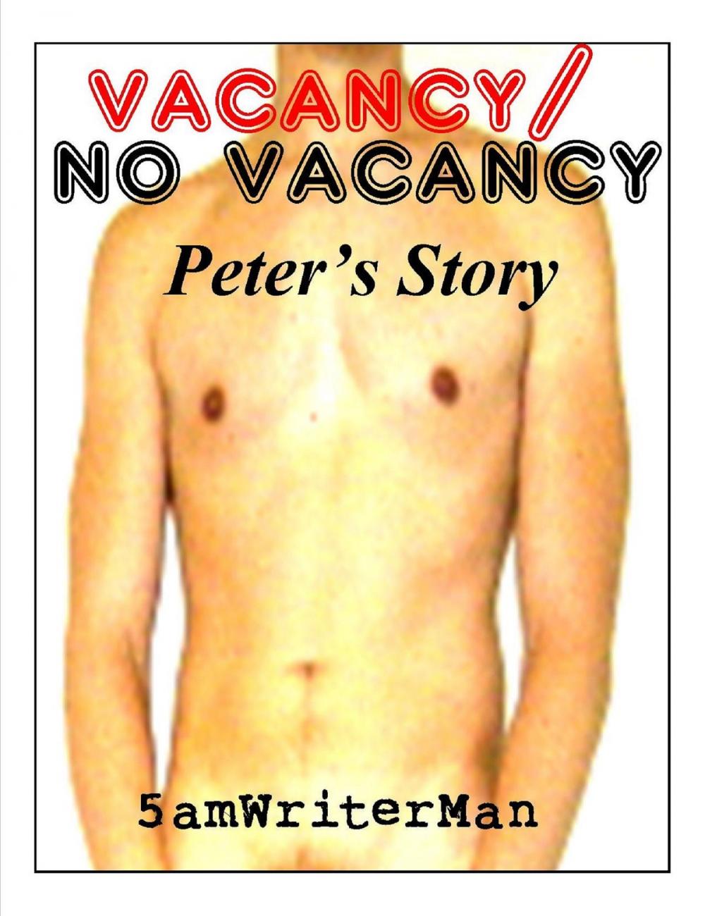 Big bigCover of Vacancy / No Vacancy: Peter's Story