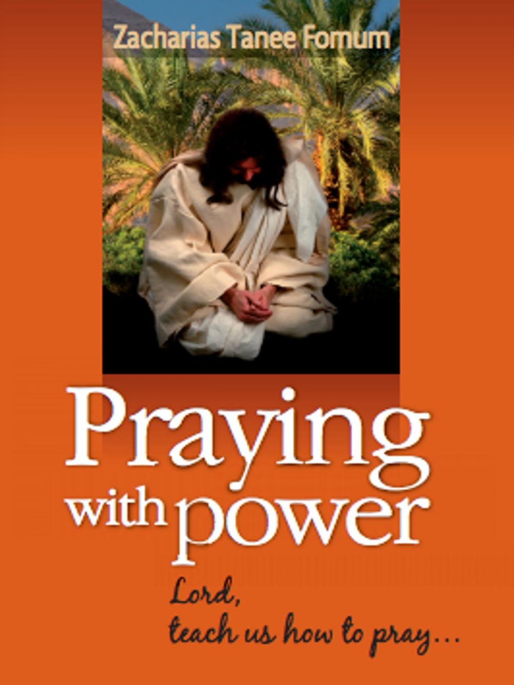 Big bigCover of Praying With Power