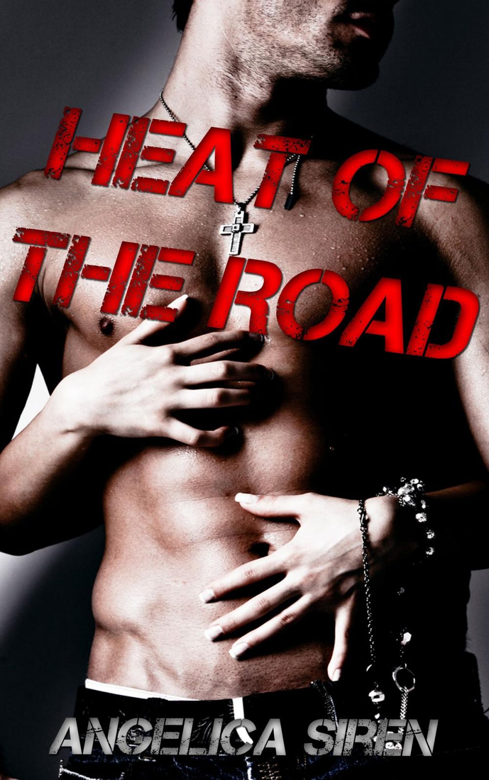 Big bigCover of Heat of the Road (Demon Hounds Motorcycle Club)