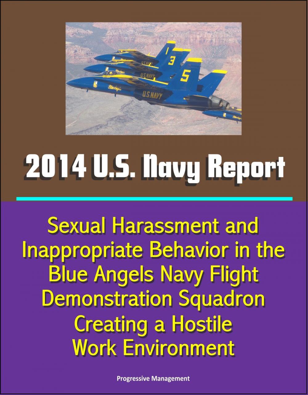 Big bigCover of 2014 U.S. Navy Report: Sexual Harassment and Inappropriate Behavior in the Blue Angels Navy Flight Demonstration Squadron Creating a Hostile Work Environment