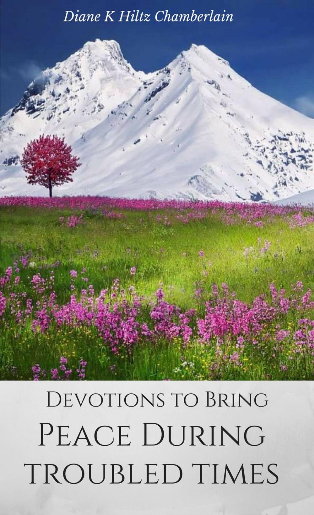 Big bigCover of Devotions to Bring Peace During Troubled Times